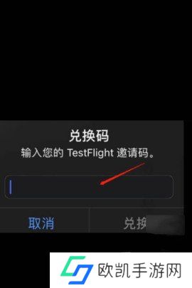 testflight邀请码2024最新大全 testflight邀请码2024大写字母